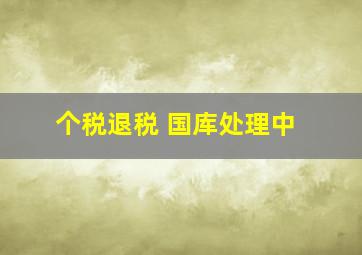 个税退税 国库处理中